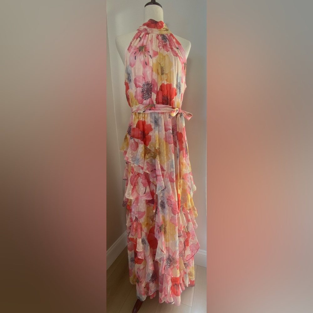 Alex Marie Multicolor Floral Maxi Dress